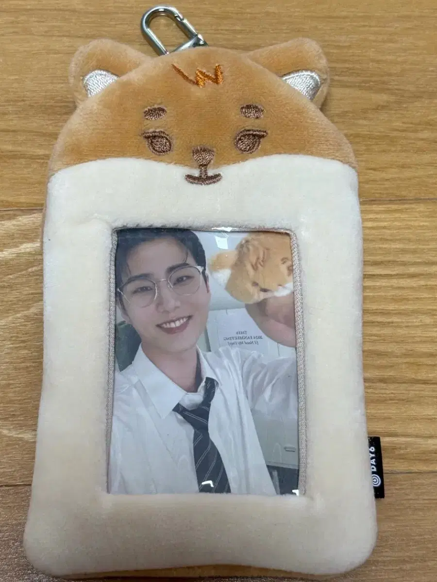 데이식스 영케이 데니멀즈 쁘멀 케 포카홀더