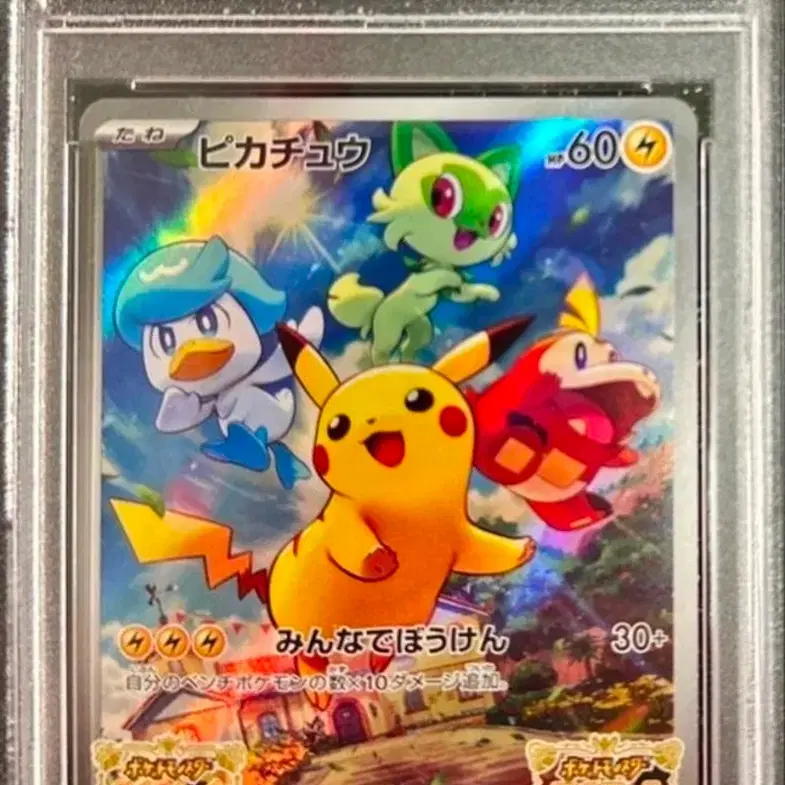 포켓몬 !최저가! 스칼렛바이올렛 피카츄 일판 psa10 (총5개)