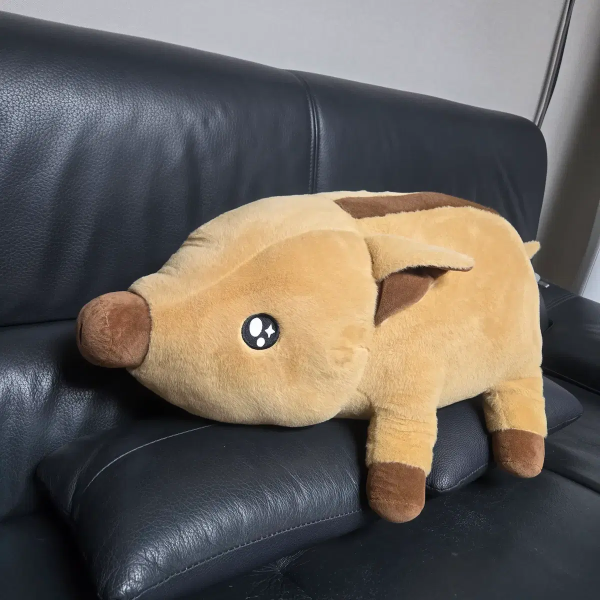 초대형 (약 60cm) 초롱 멧돼지 인형