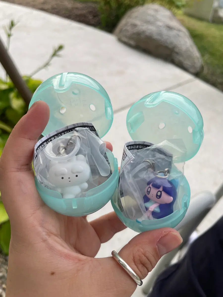 모뇨프렌즈, 모뇨치타 메지루시 일괄 세트