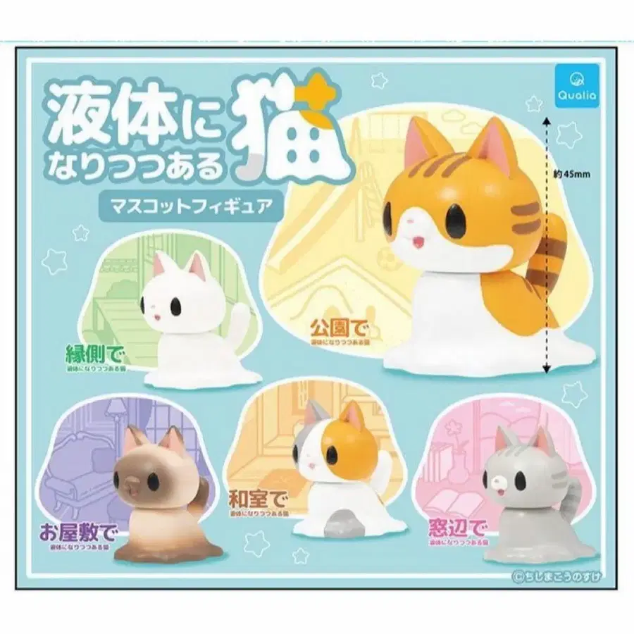 액체 고양이 가챠