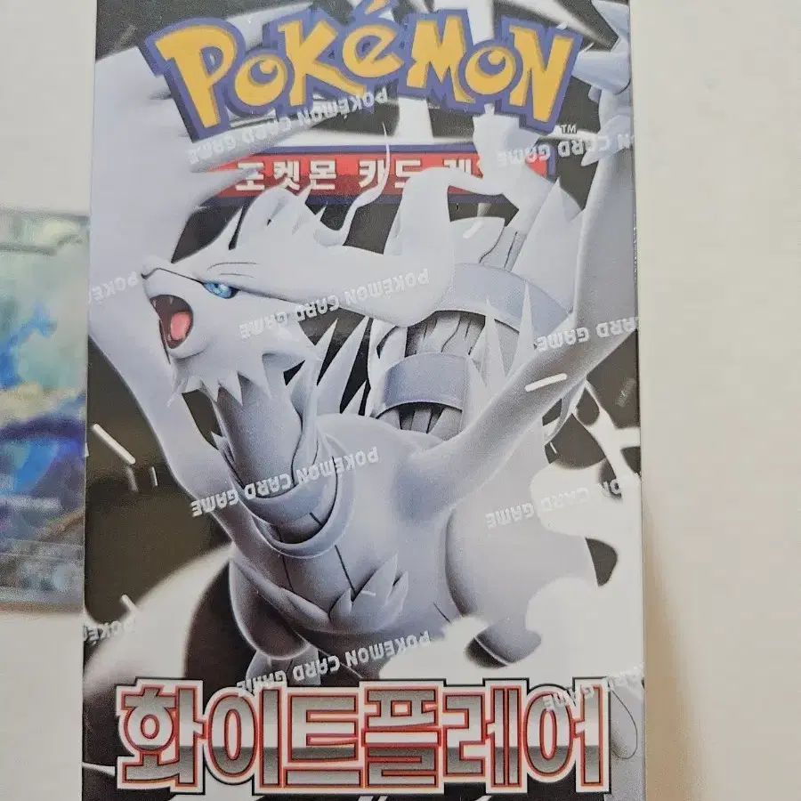 포켓몬카드 화이트 플레어 박스,신뇽