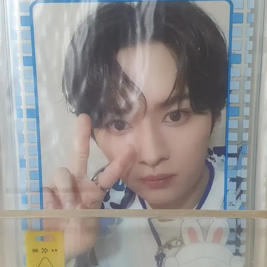 스트레이키즈 일본 포카 리노