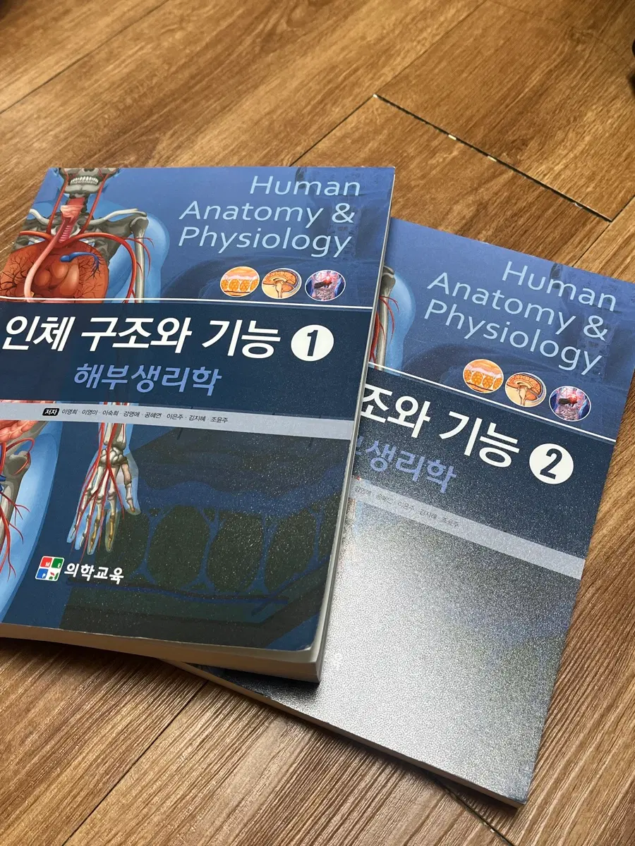 인체구조와기능(워크북 없어요)