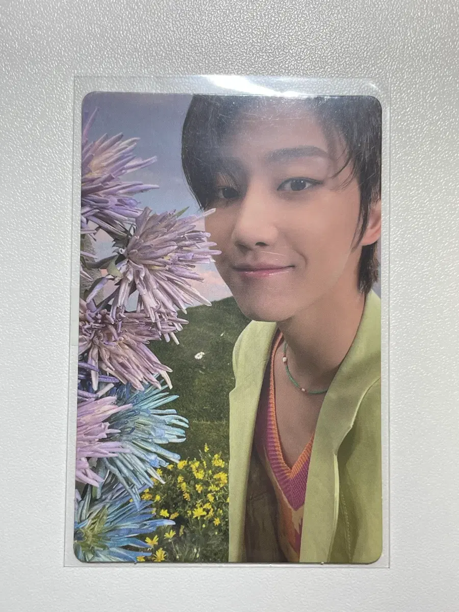 세븐틴 디에잇 섹터 포카
