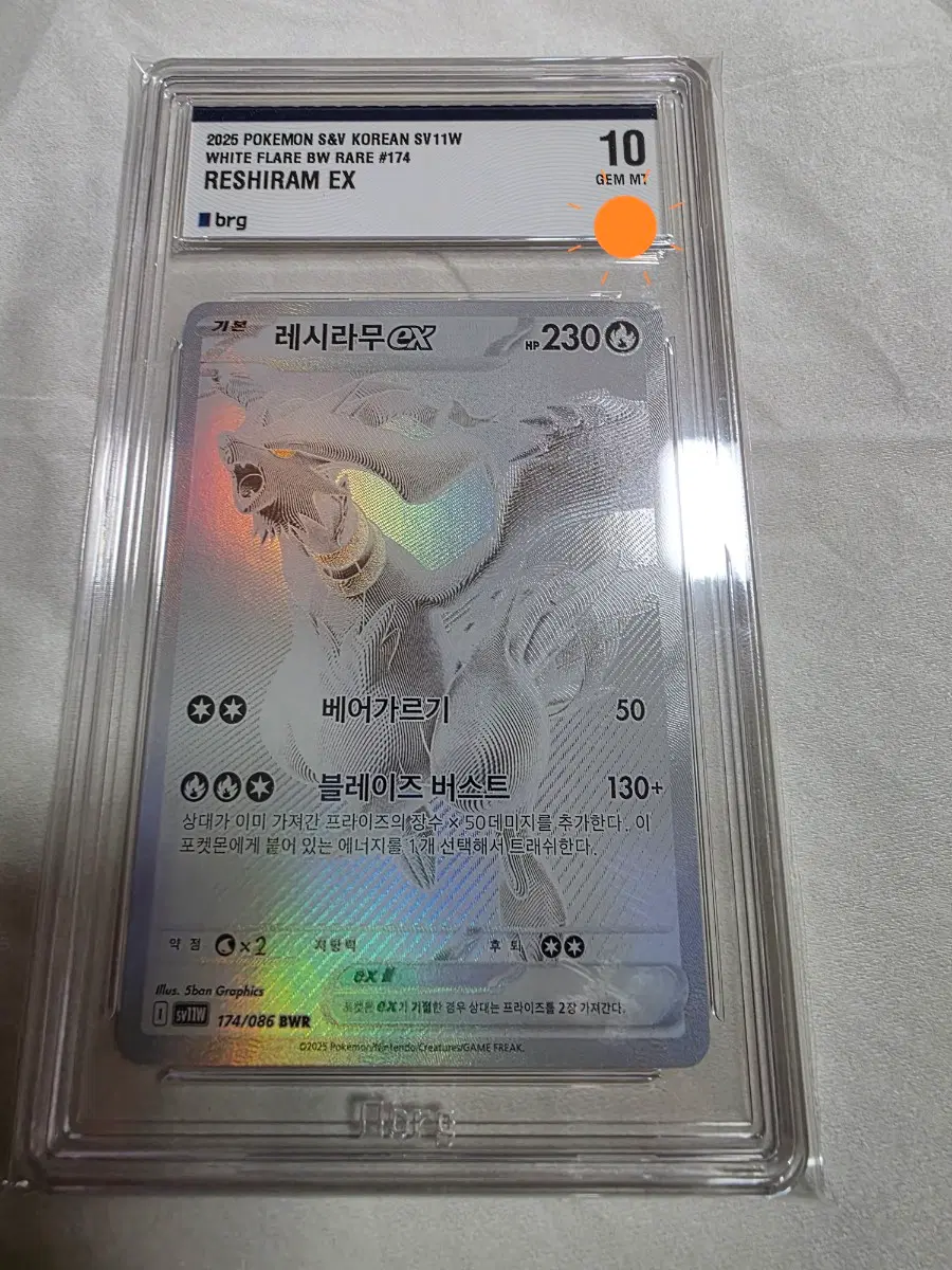 포켓몬 레시라무 BWR brg 10등급