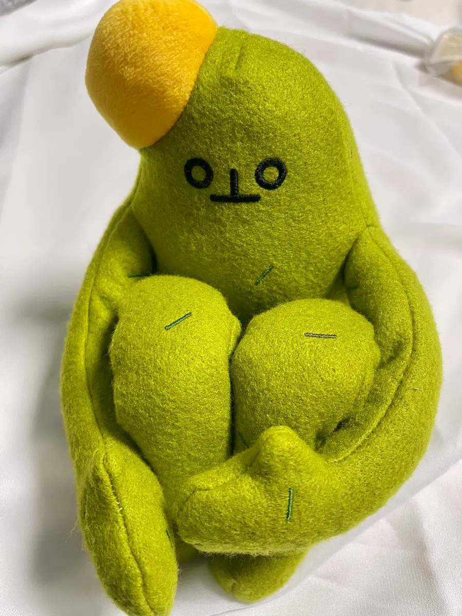 선인장 인형