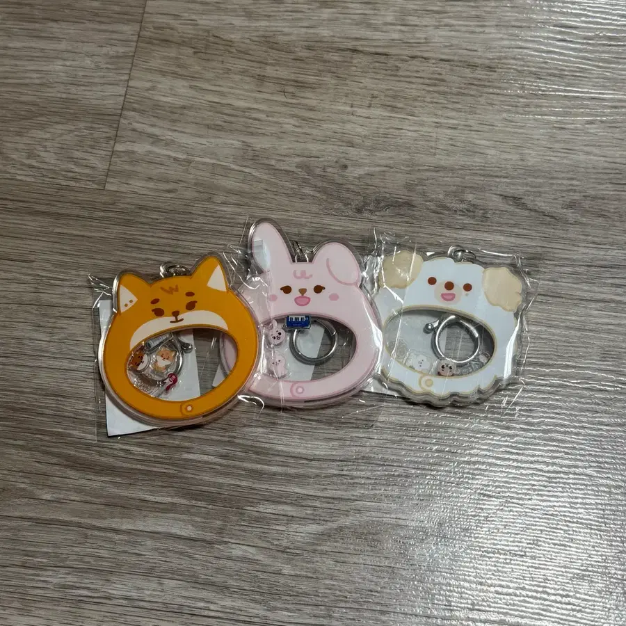 데이식스 영케이 원필 도운 피어텐 쁘띠멀즈 쉐이커 키링 케 필 돈