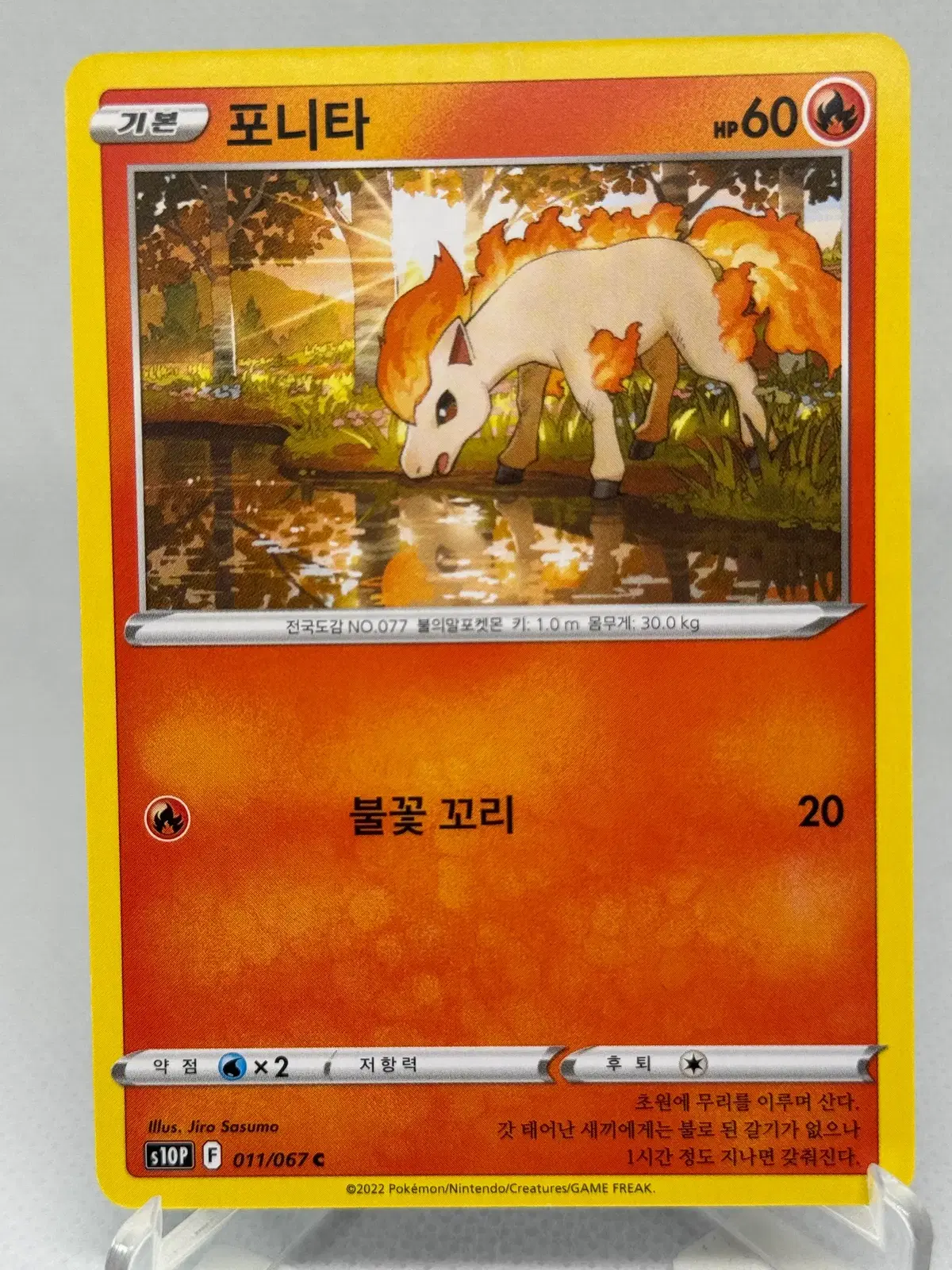 포켓몬카드 포니타 [S10P 011/067] 한글판 일반카드