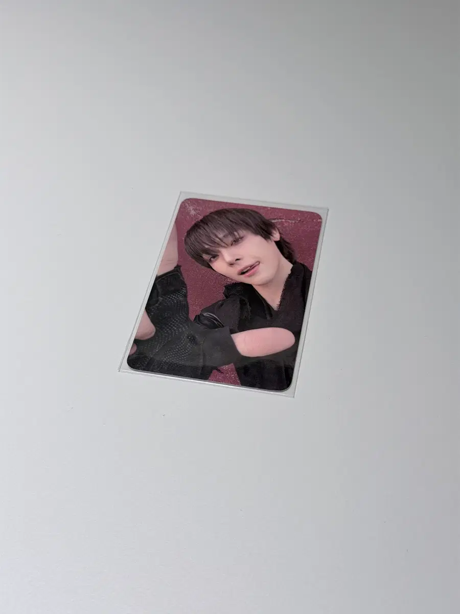 백투라 니콜라스 공방포카