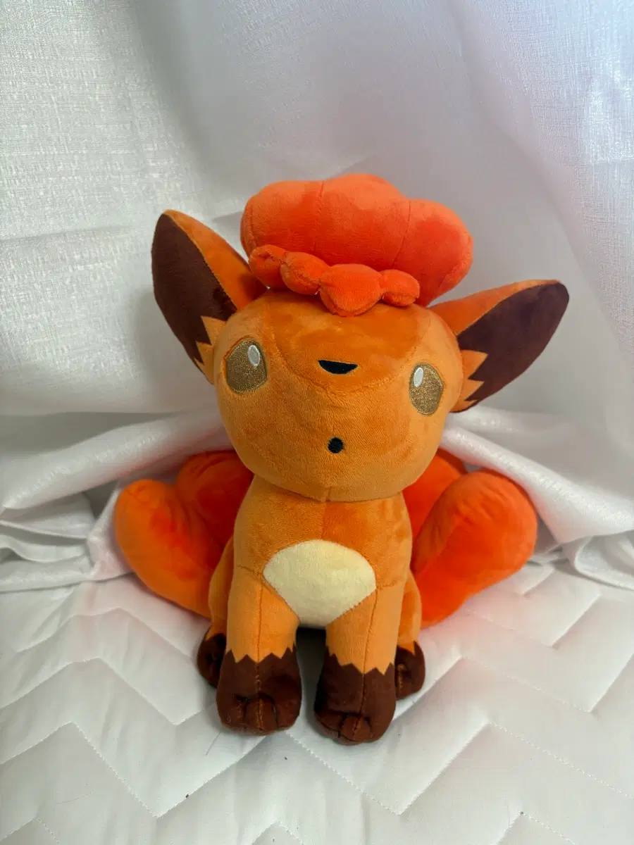정품 포켓몬 식스테일 25cm 인형
