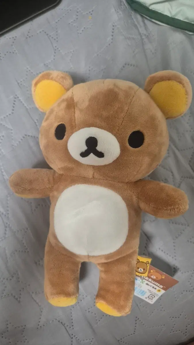 리락쿠마 인형 정품