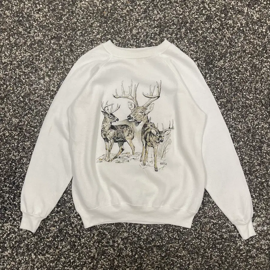 90s 헤인즈 스웻셔츠 맨투맨 made in USA (L)