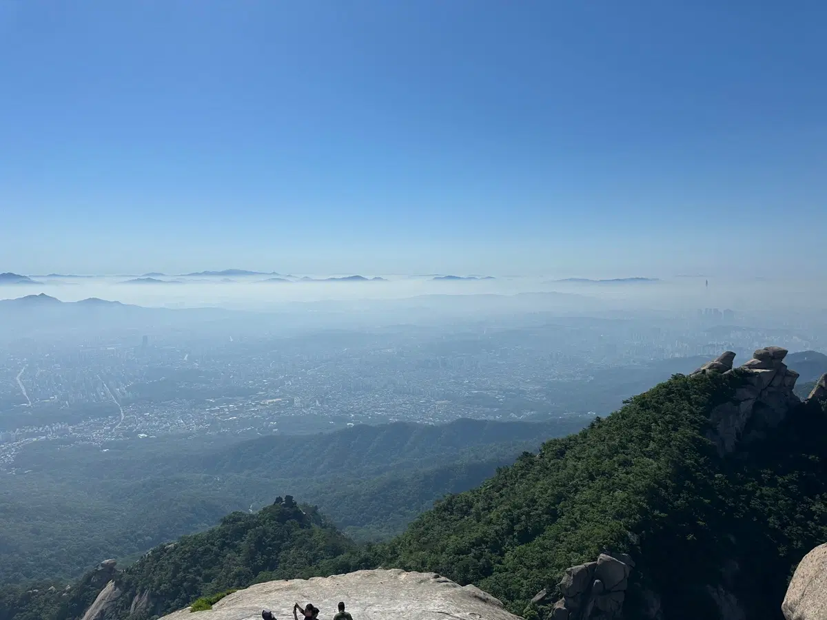 9800X3D 반본체 구매합니다