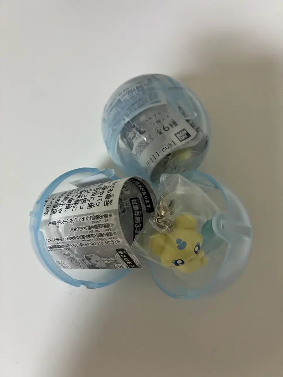 쁘띠큐어 메플 메지루시