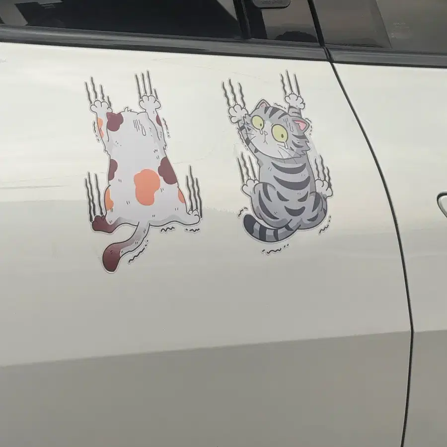 가을웜톤화장품 팔아요