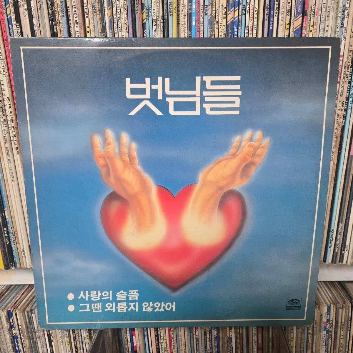 벗님들 사랑의 슬픔 / 그때 외롭지 않았어 lp판