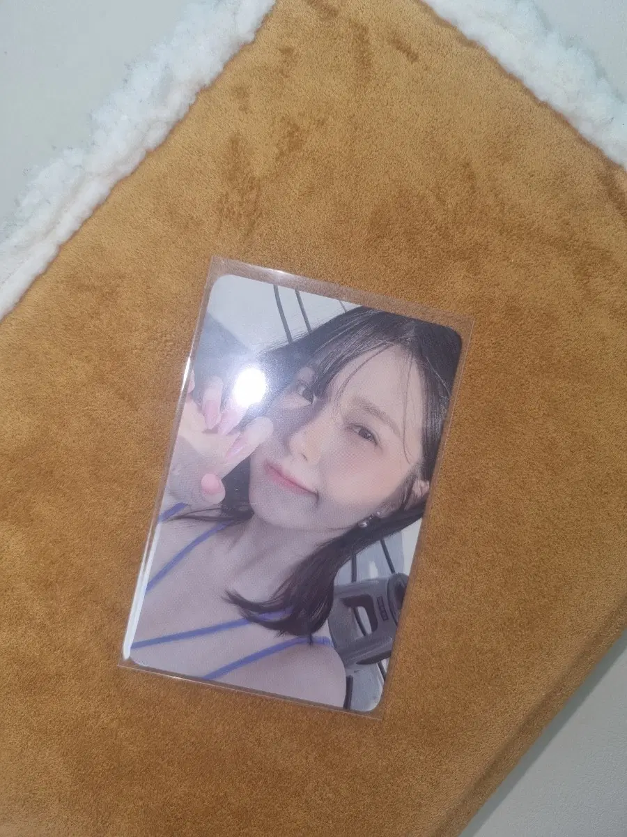 프로미스나인 비타민 미 그로우 미 포토북 버젼 앨범 포카 백지헌