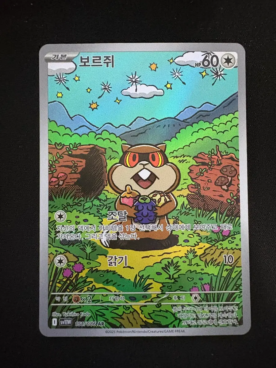 포켓몬카드 보르쥐 AR