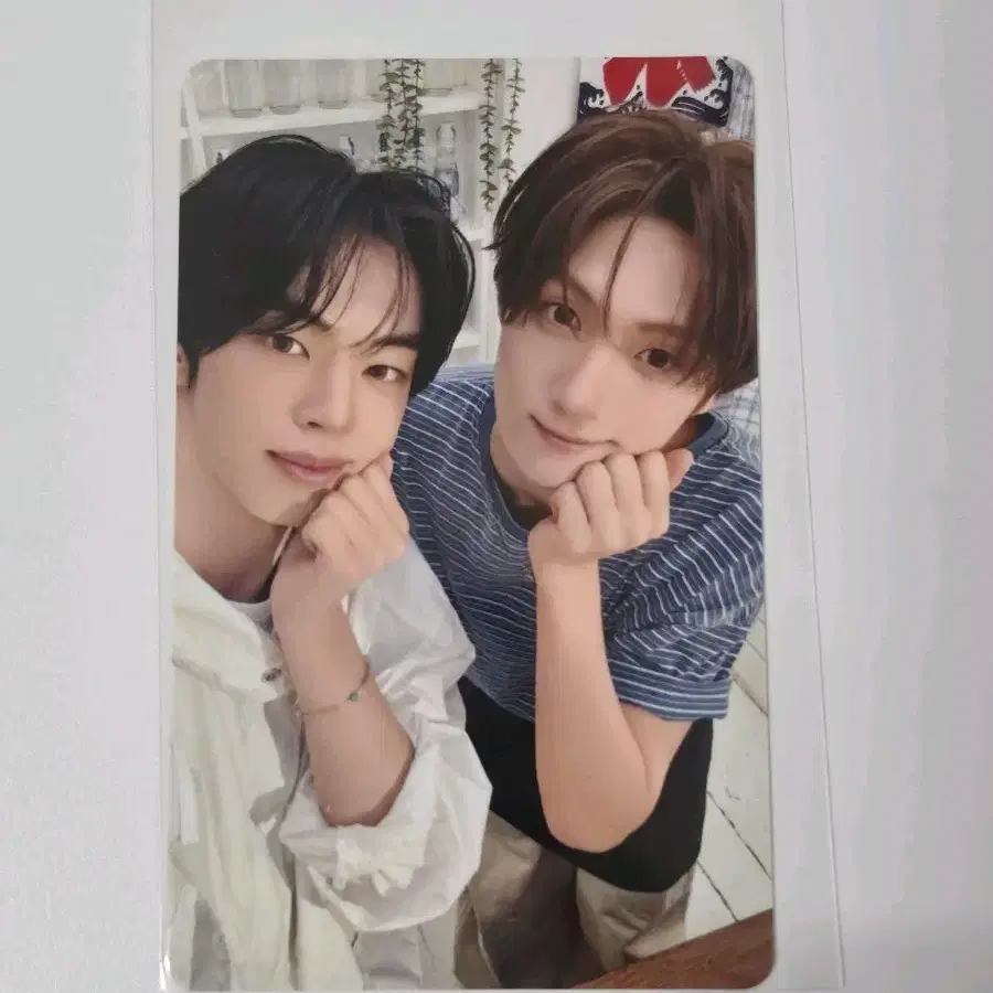 투어스 HMV 럭드 tws 에쳄비 유닛 모바가챠 일본 소다소다 soda soda 도훈 영재