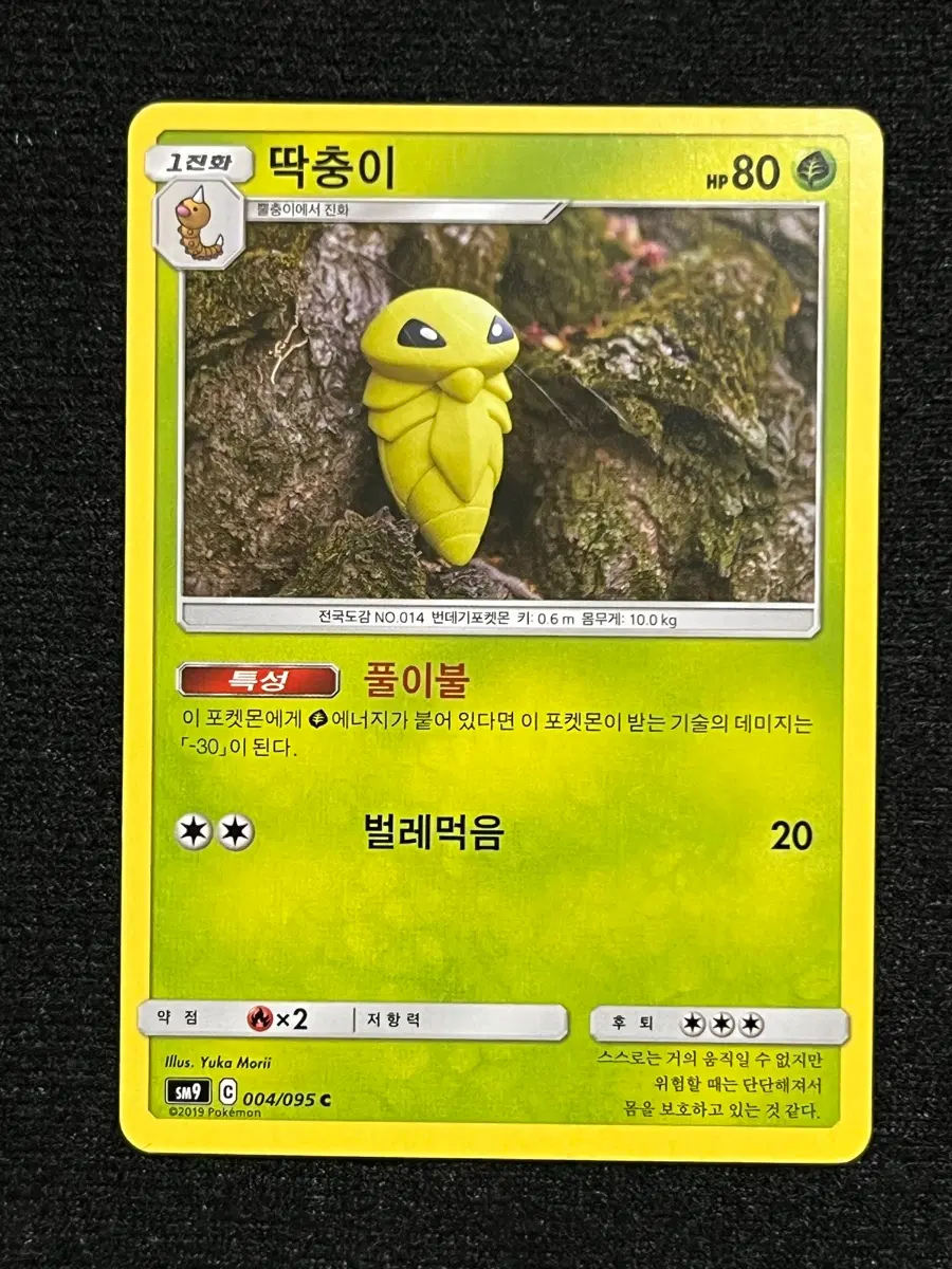 포켓몬카드 딱충이 (sm9)-2019-