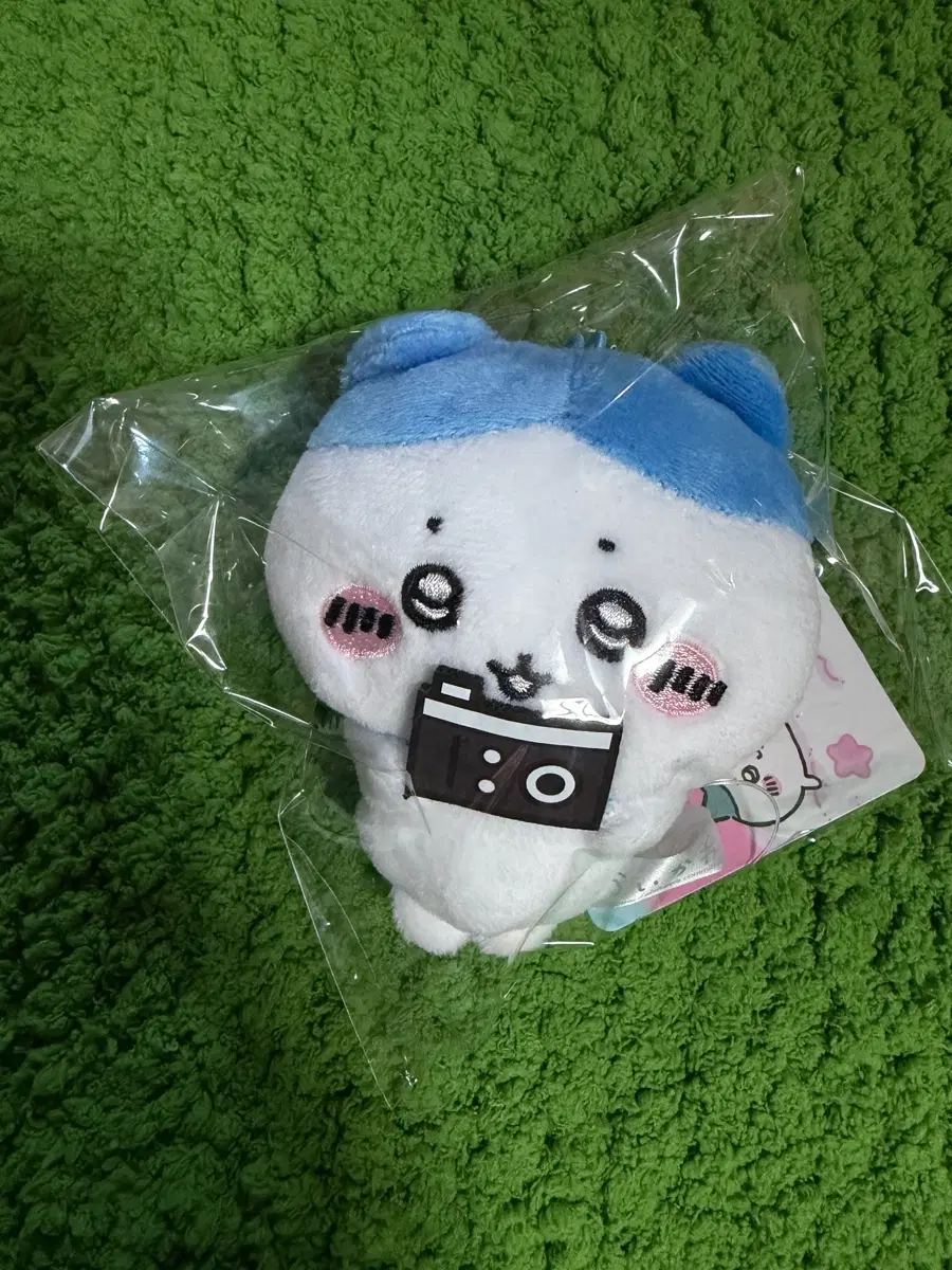 치이카와 하치와레 카메라