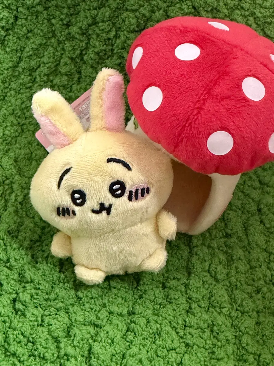 치이카와 앉은누이 우사기