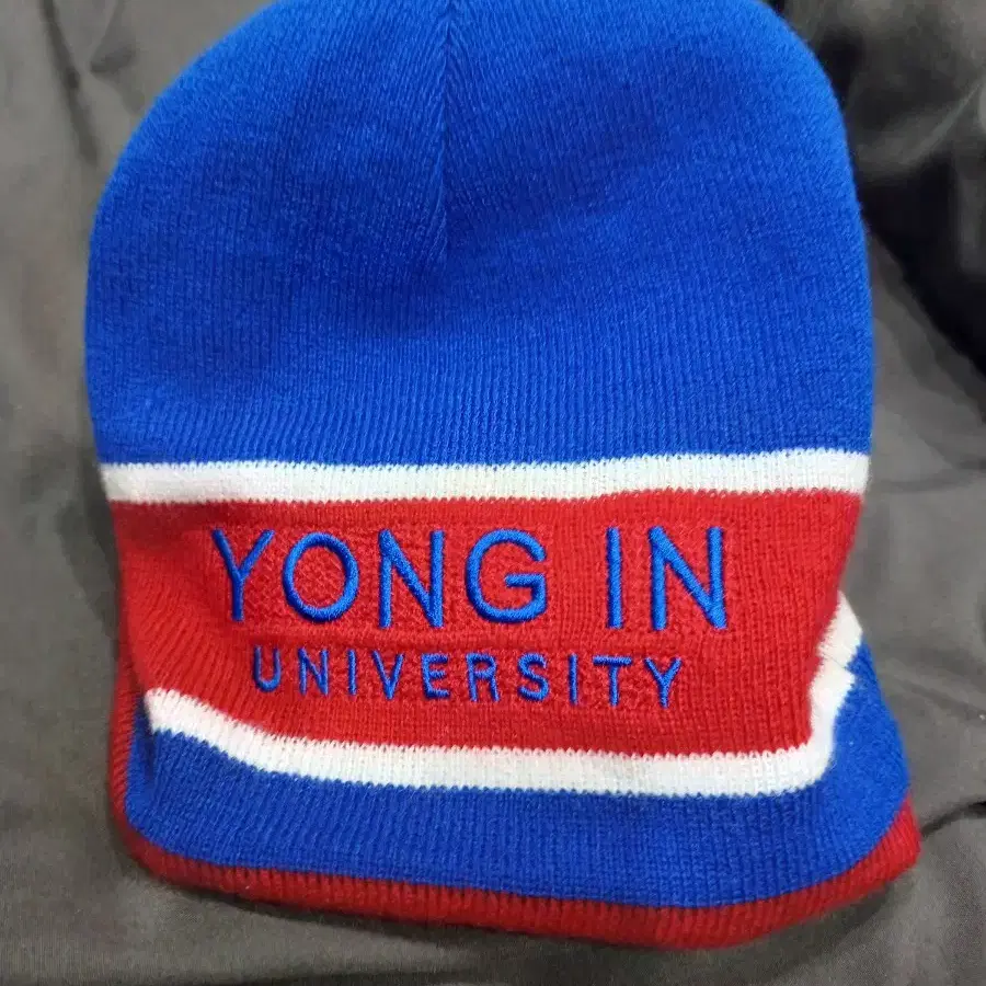 용인대학교 비니모자