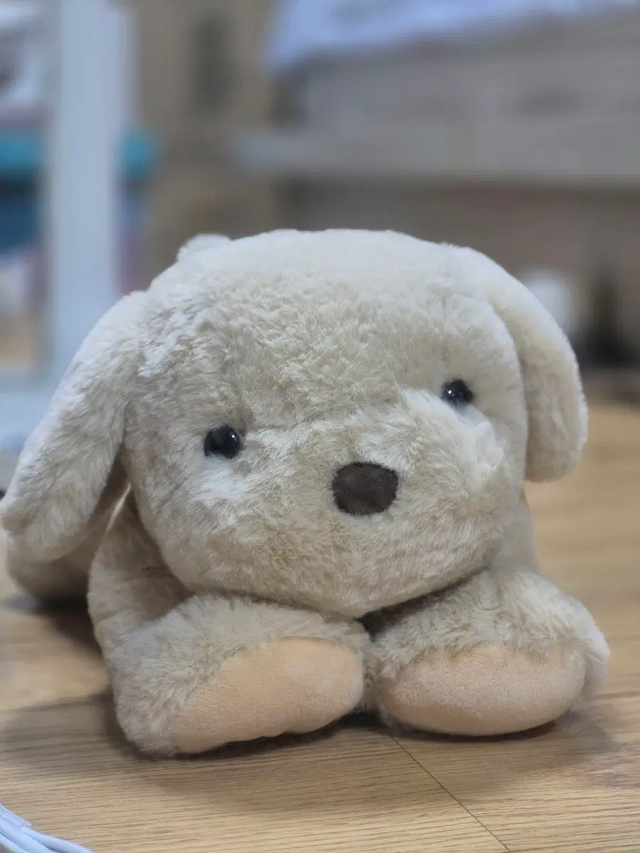 강아지 인형