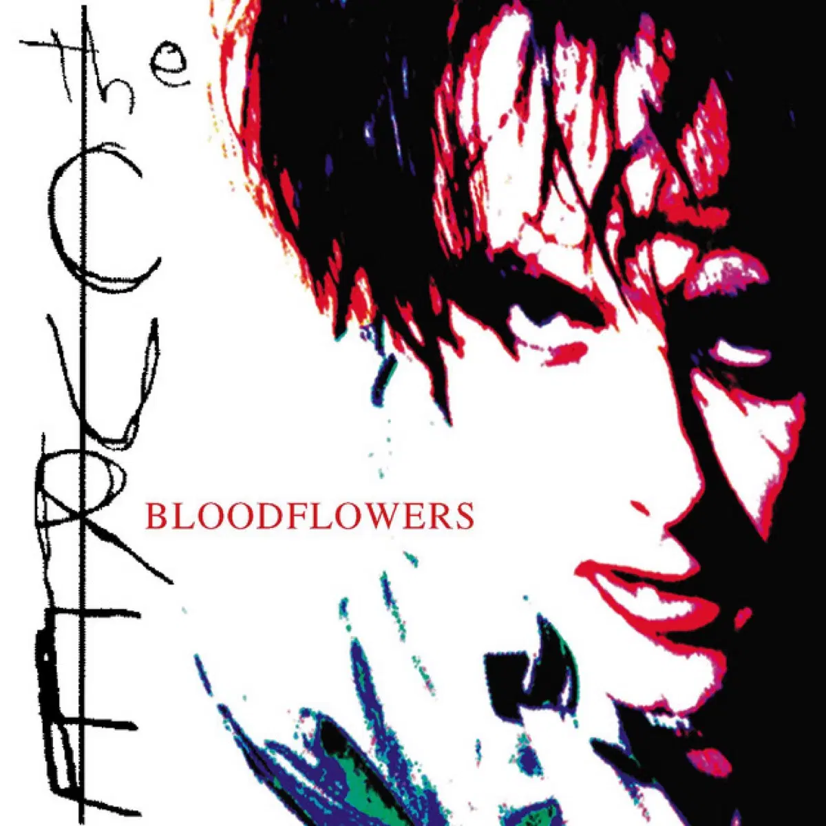 더 큐어 Bloodflowers 앨범 시디 CD
