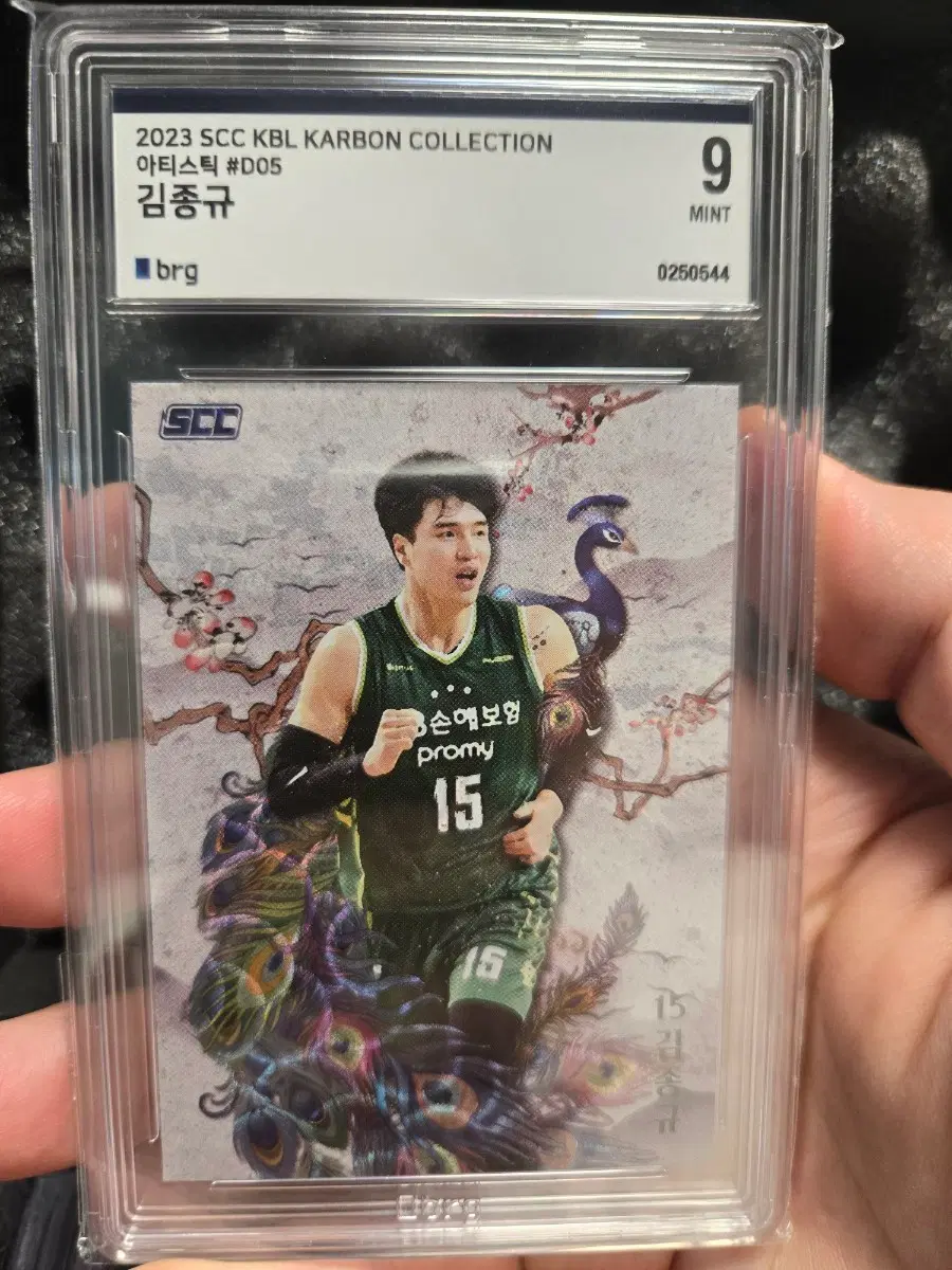 김종규 아티스틱 BRG9