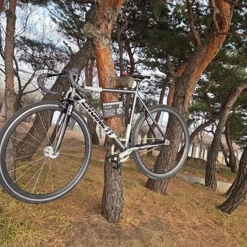 엔진 11 블랙차콜