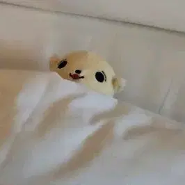 앤팀 의주 인형 판매 양도