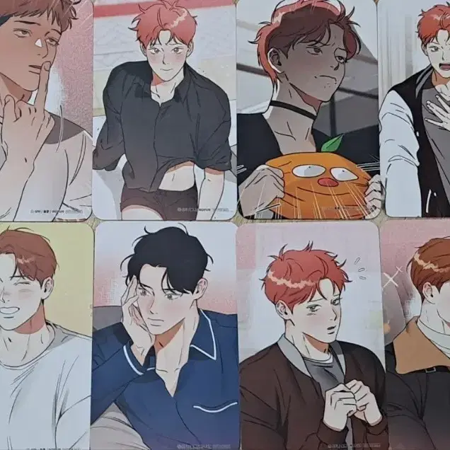 모펀 명태새끼 말려버려! 포카 방포 방문 포토카드 판매양도