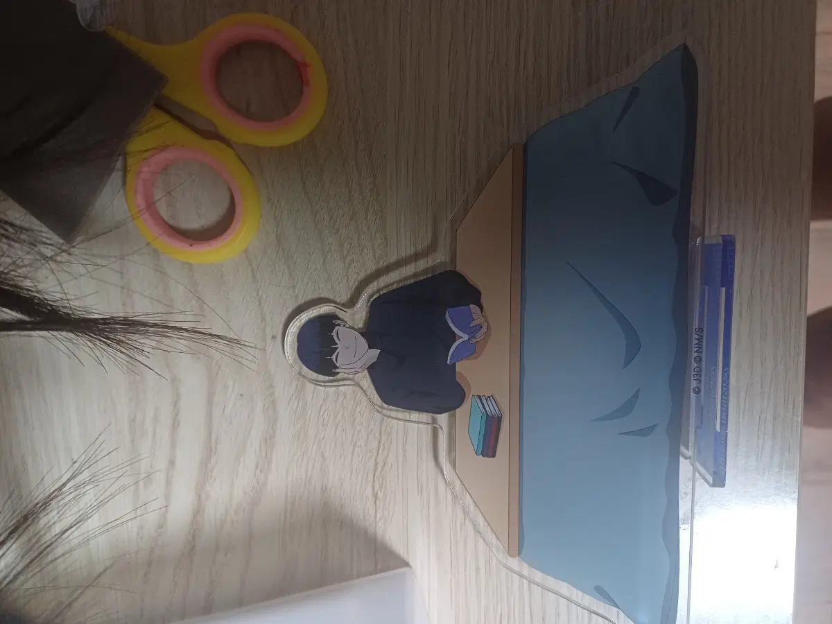 호시나 동거 아크릴