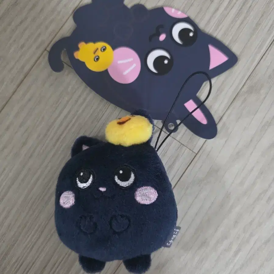 라이즈 원빈 토냥덕 미니돌 7cm