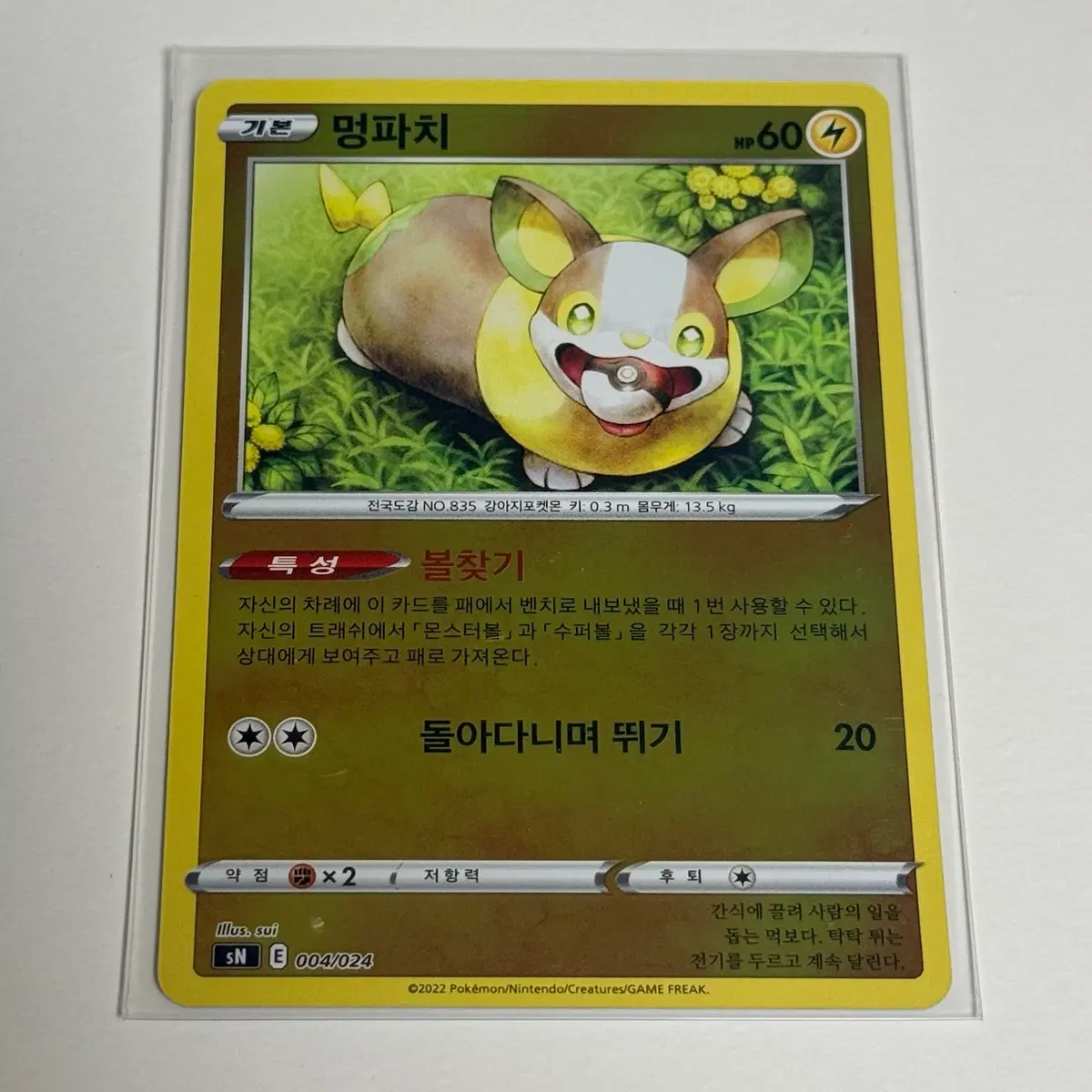 포켓몬 일반 멍파치 홀로그램 카드