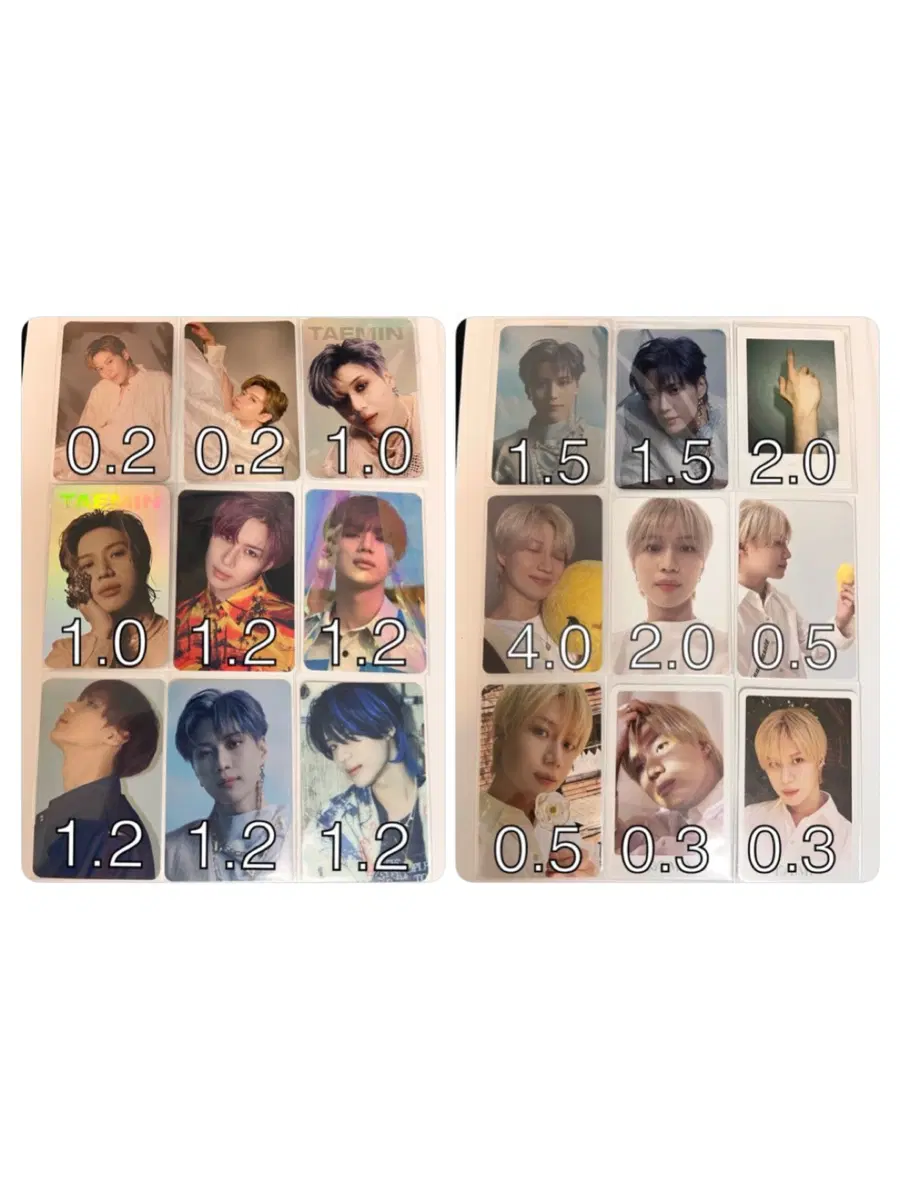 샤이니 태민 포카