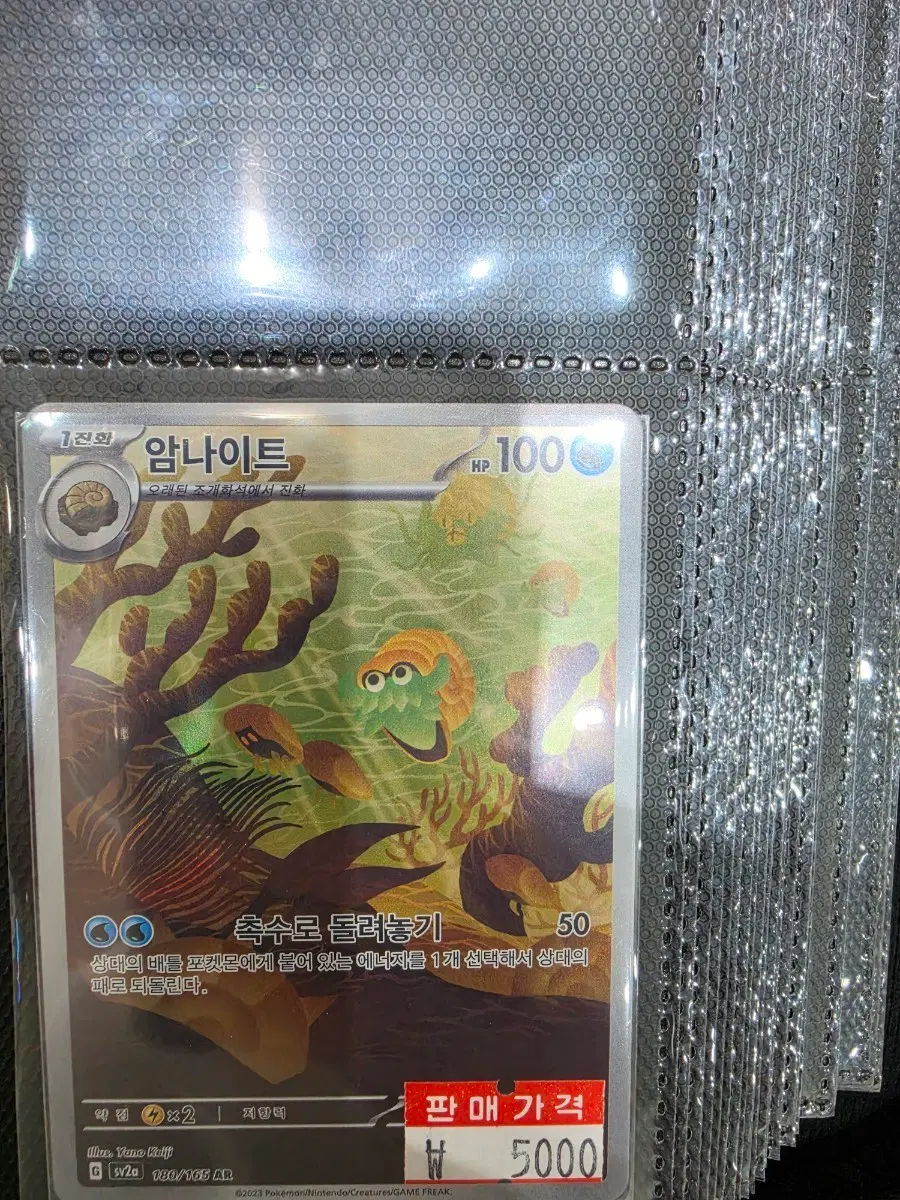 바이올렛 EX AR 모음