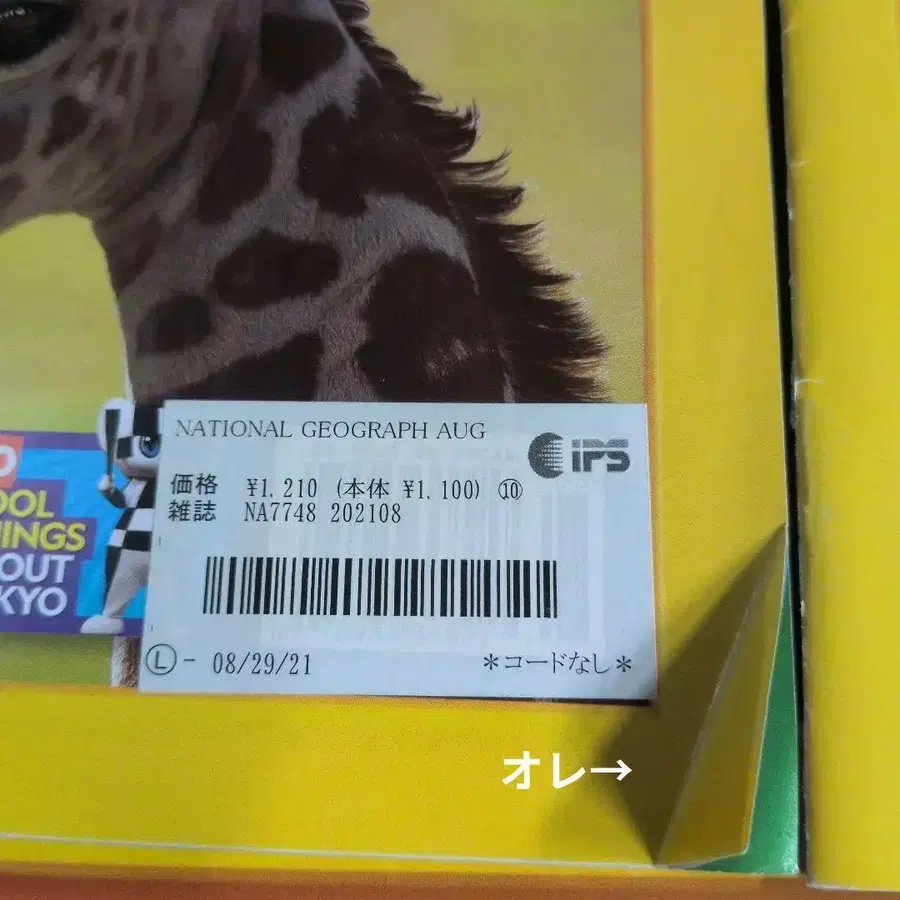5번째 상품 이미지