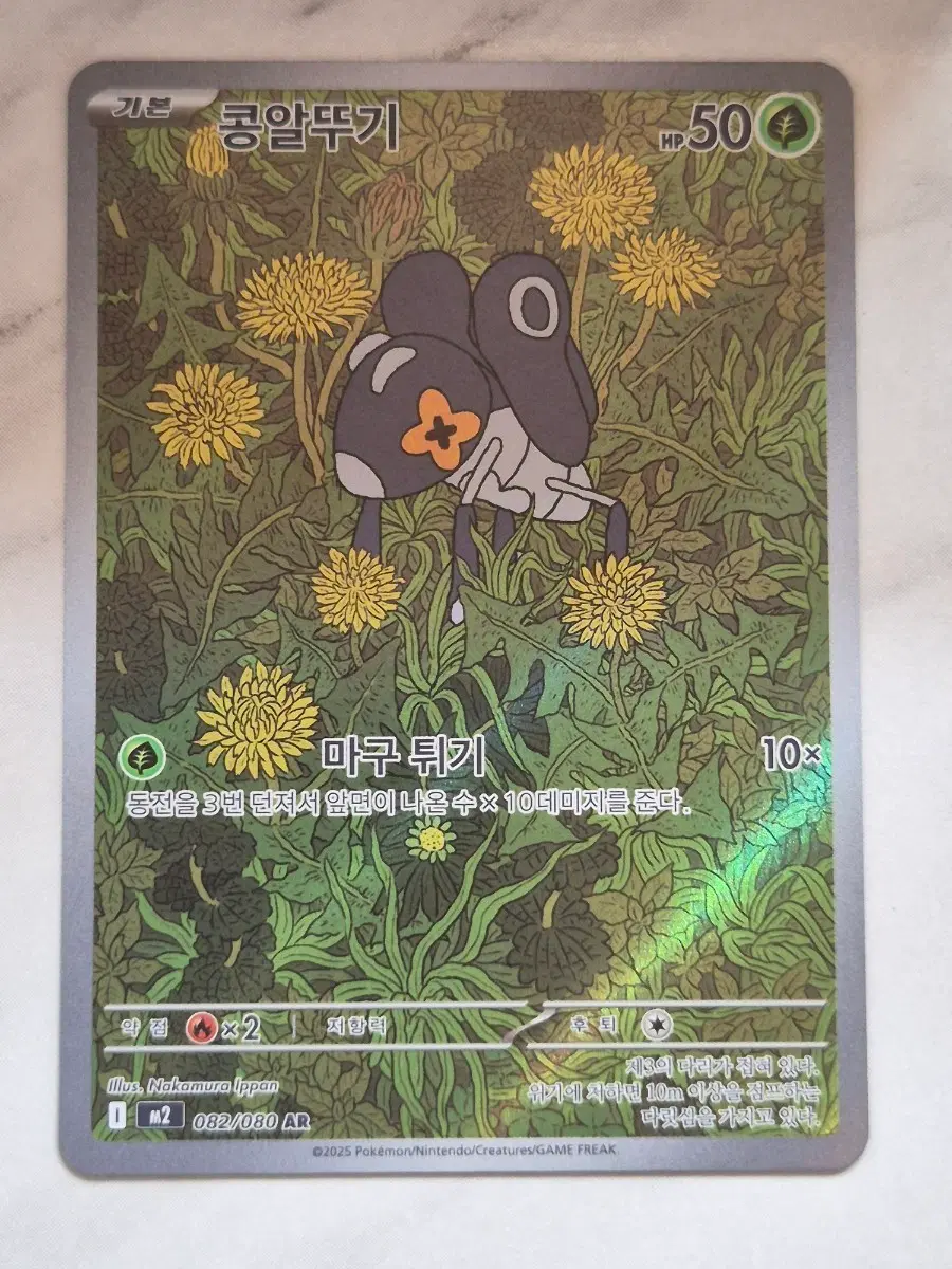 ㄹ. 포켓몬카드 콩알뚜기 AR