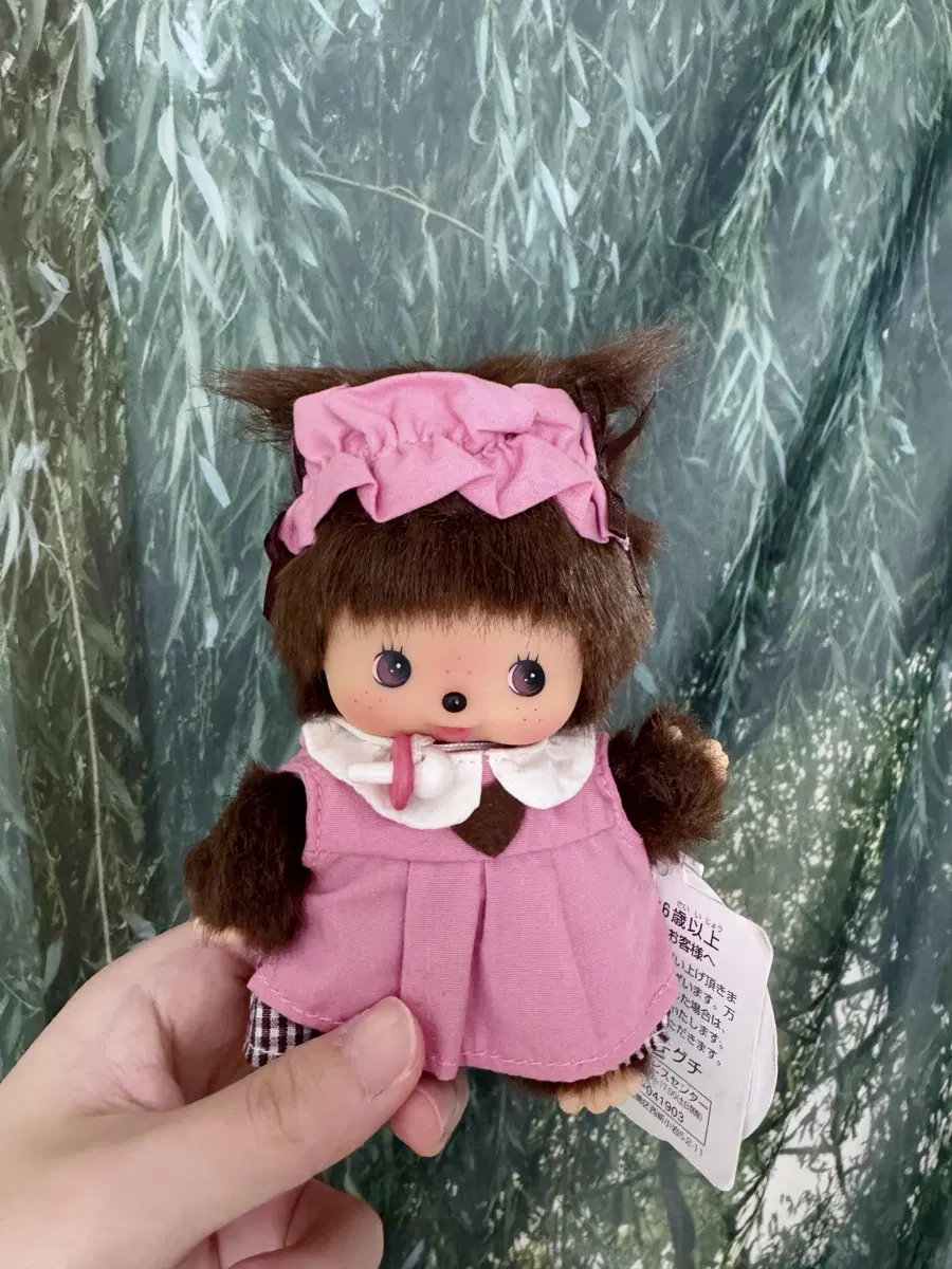 카페 베비치치