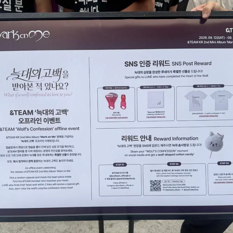 앤팀 늑대의 고백 티셔츠 구해요 팝업 성수팝업 성수