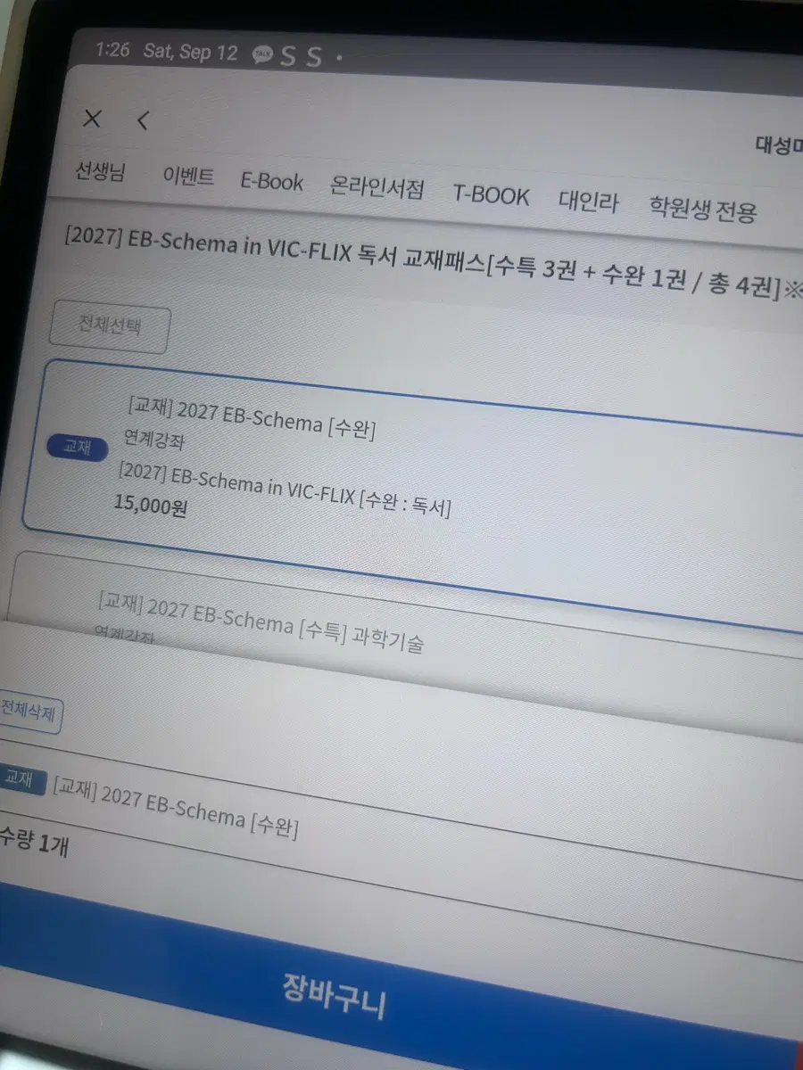 대성마이맥 김승리 엡스키마 빅플릭스 독서 수완