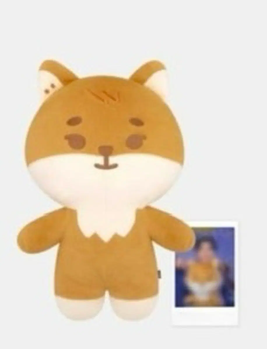클콘 자이언트 쁘멀 팝니다(탈덕 처분