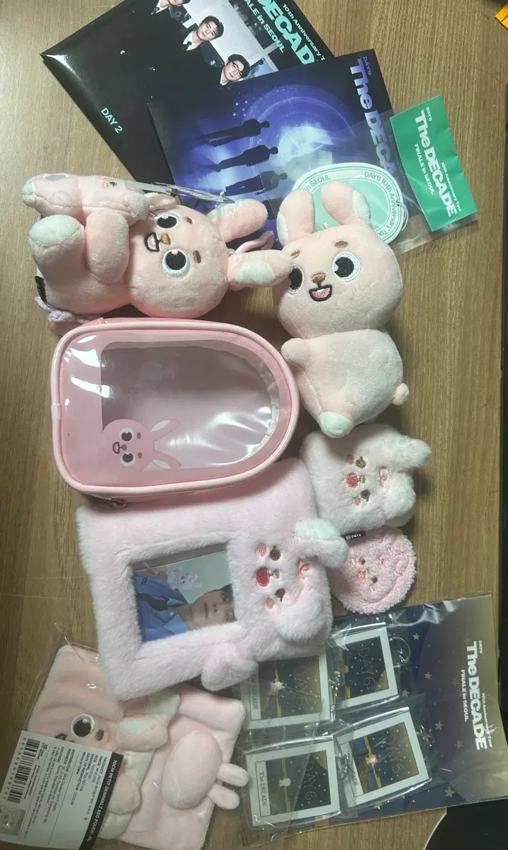 데이식스 필 입장키트 마데키트 데니멀즈