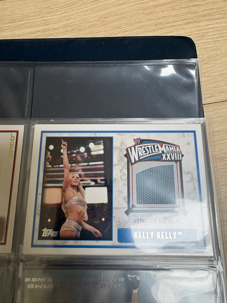 WWE 레슬매니아 레슬링 켈리 켈리 kelly kelly 매트 카드