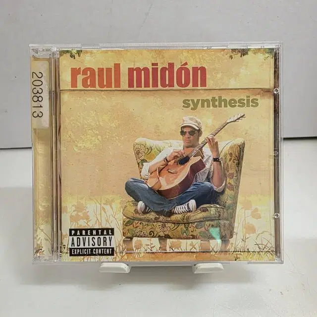 라울 미동 Raul Midon - Synthesis
