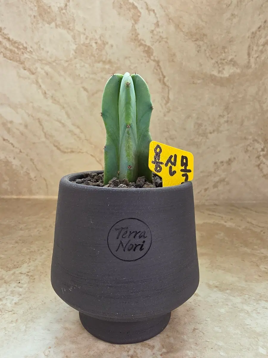 괴마옥