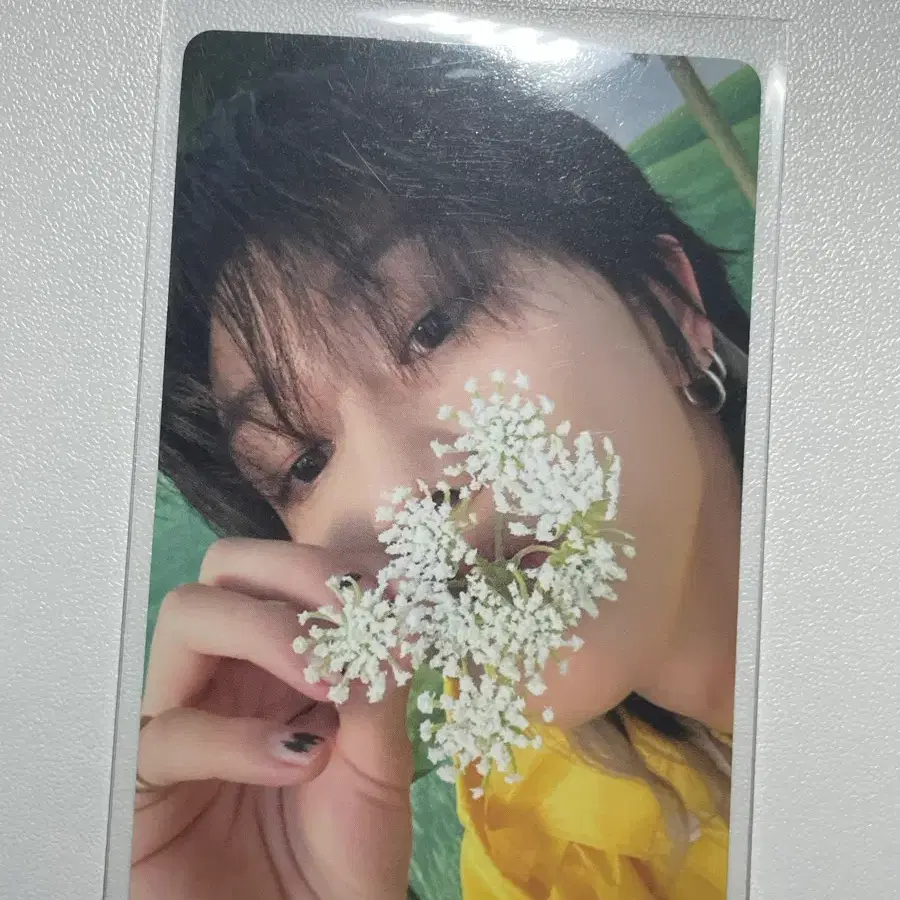 세븐틴 디에잇 음악의 신 헤븐 캐럿반 포카